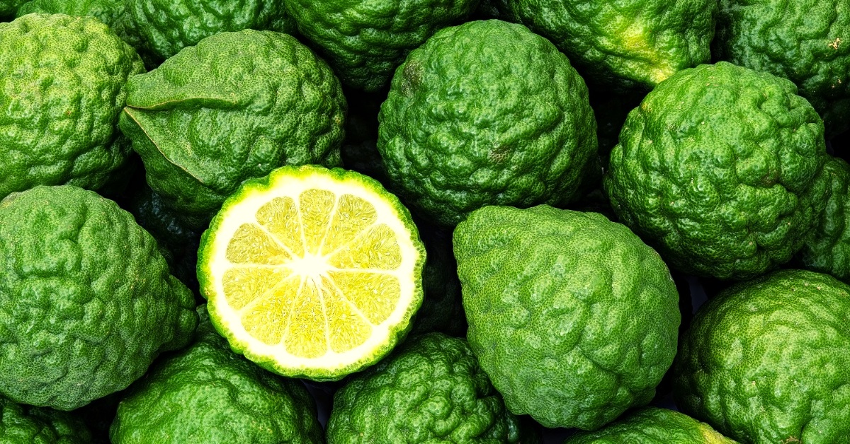 benefits of bergamot