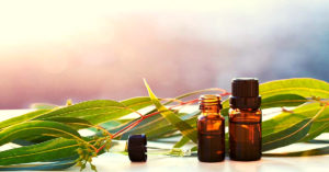 Eucalyptus Essential Oil Benefits For Skincare, Joint Health & Congestion