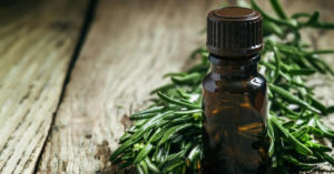 Tea Tree Essential Oil Uses And Benefits (And How to Use)