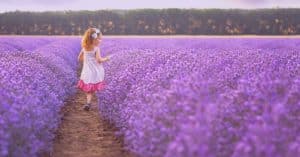 10 Best Essential Oils For Stress Relief (+3 DIY Stress Blends & Recipes)