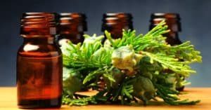Cypress Essential Oil Uses To Try Out!