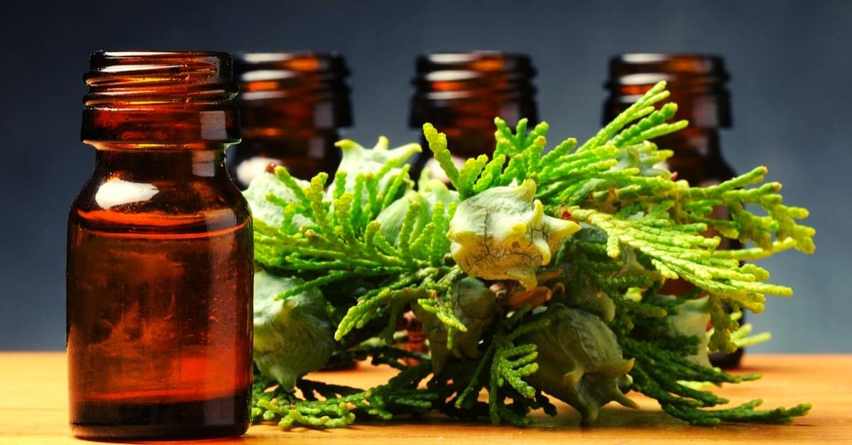 uses for cypress essential oil