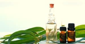 8 Ways To Use Eucalyptus Essential Oil (Uses List Breakdown)