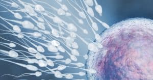 Essential Oils For Fertility – How to Use & Best Oils