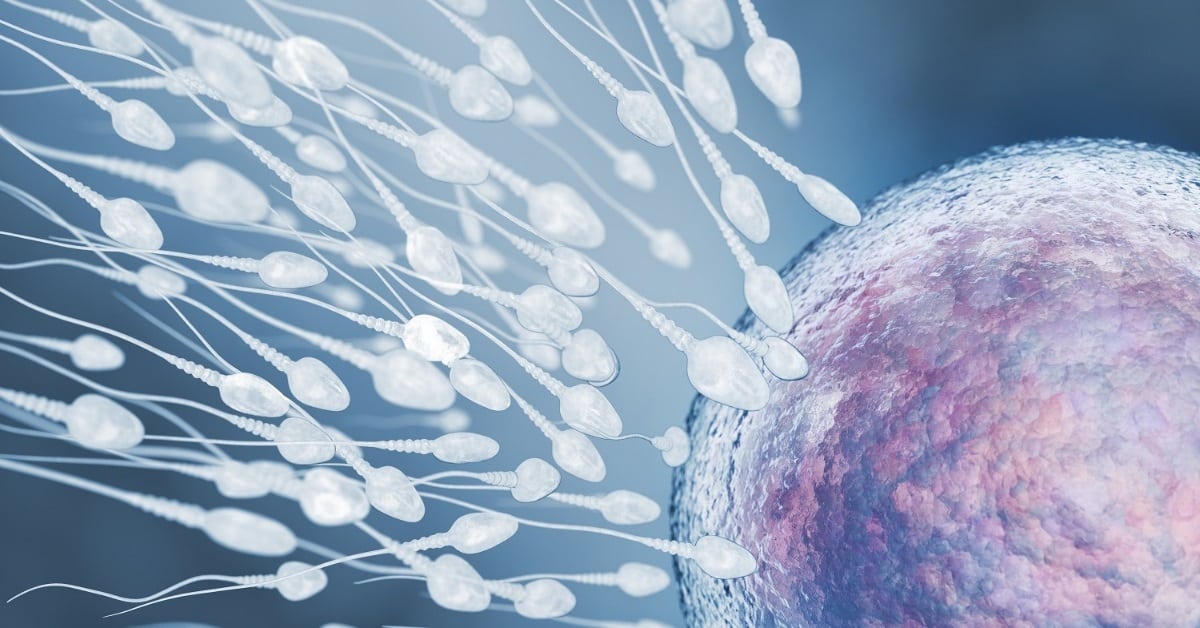 fertility support using essential oils