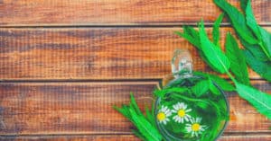 Roman Chamomile Essential Oil Uses (Unique & Powerful!)