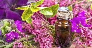 Clary Sage Essential Oil Uses (15 Best Ways To Use Explained)