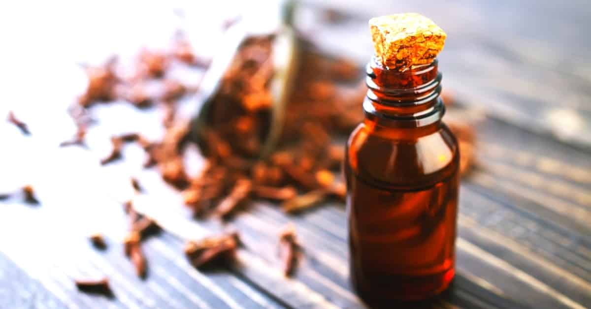 benefits of clove bud essential oil