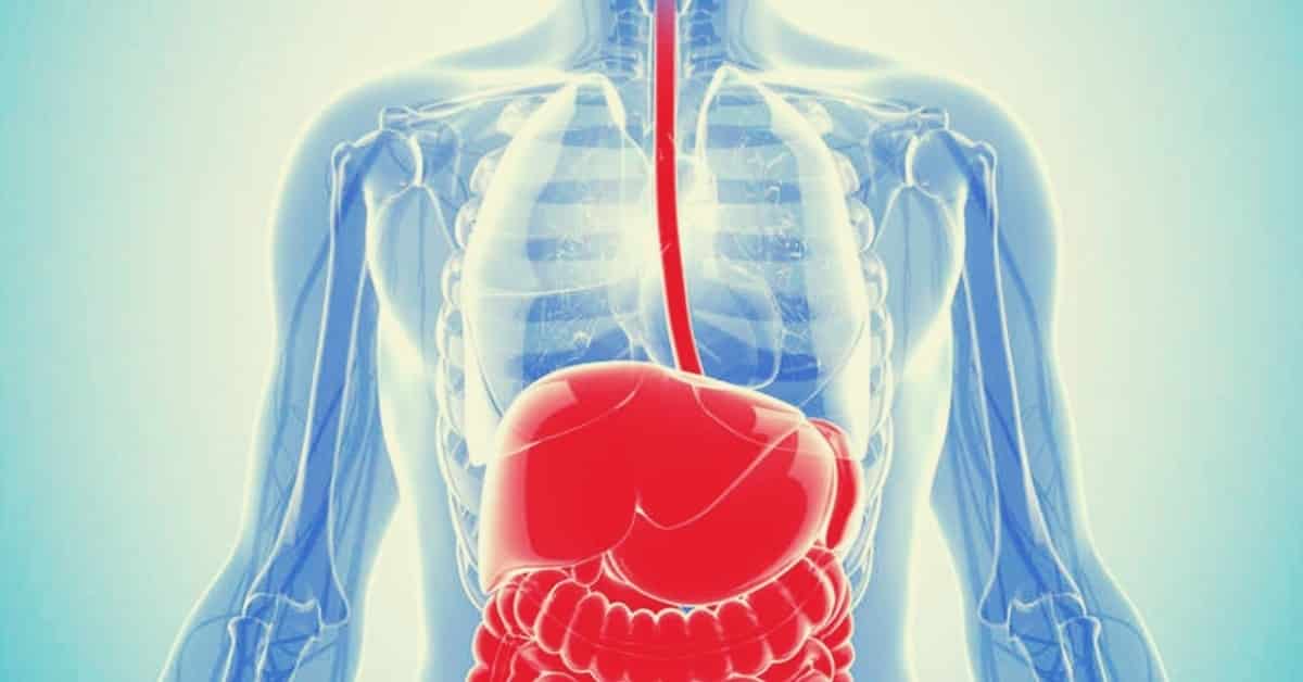 essential oils for acid reflux
