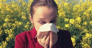 Essential Oils For Allergies +Best Ways to Use For Immediate Relief!