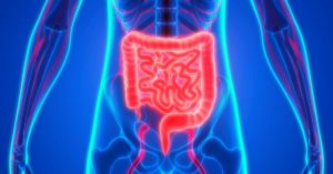 Essential Oils for Digestion (Best Oils To Use & How To Guide)