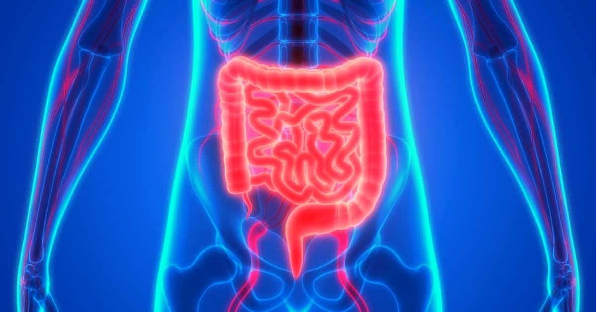 essential oils for digestion